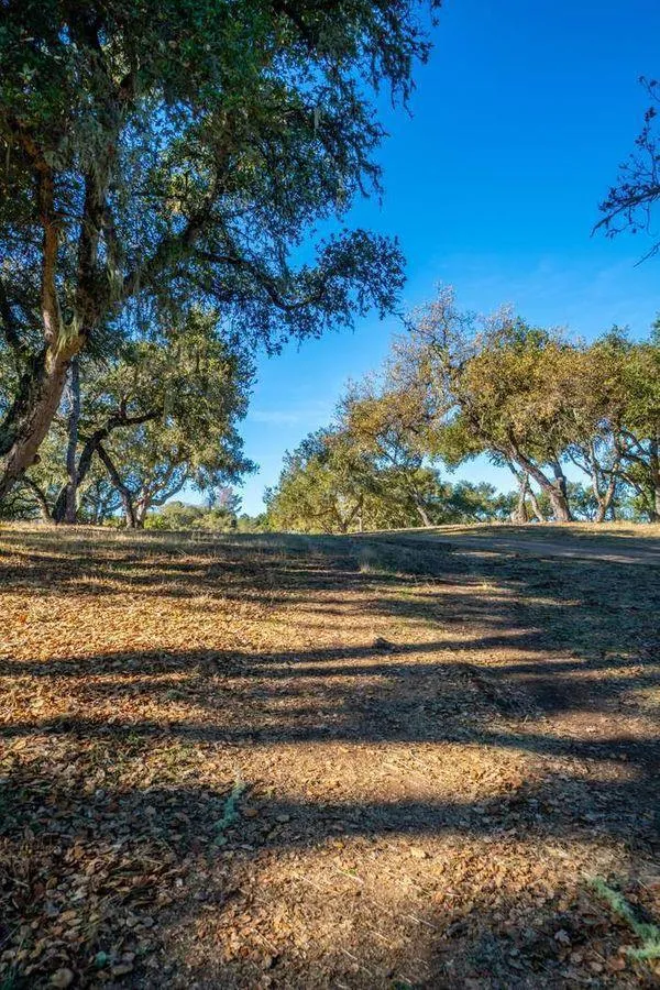 17114 Cachagua Road Carmel Valley, CA 93924