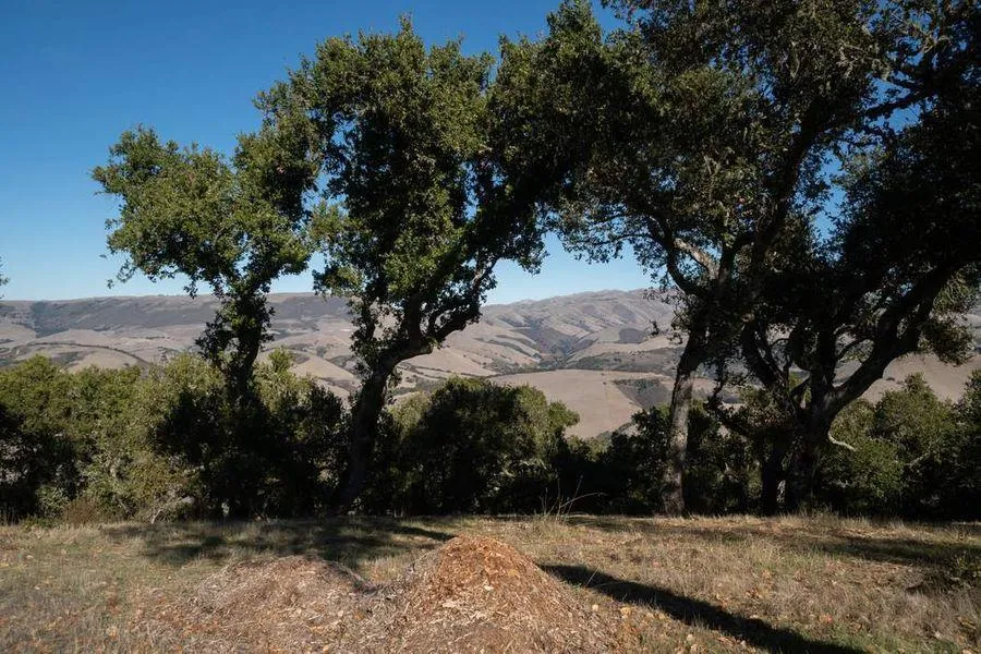17114 Cachagua Road Carmel Valley, CA 93924