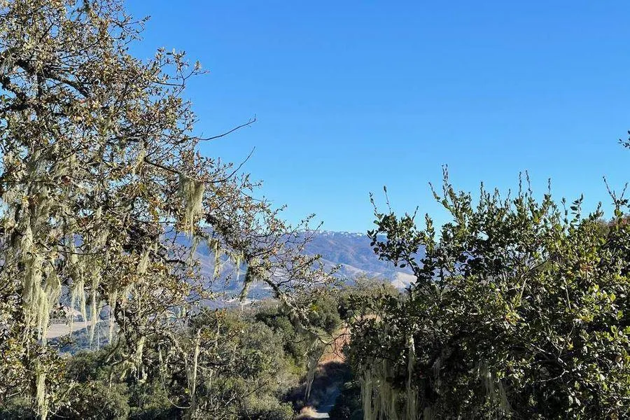 17114 Cachagua Road Carmel Valley, CA 93924
