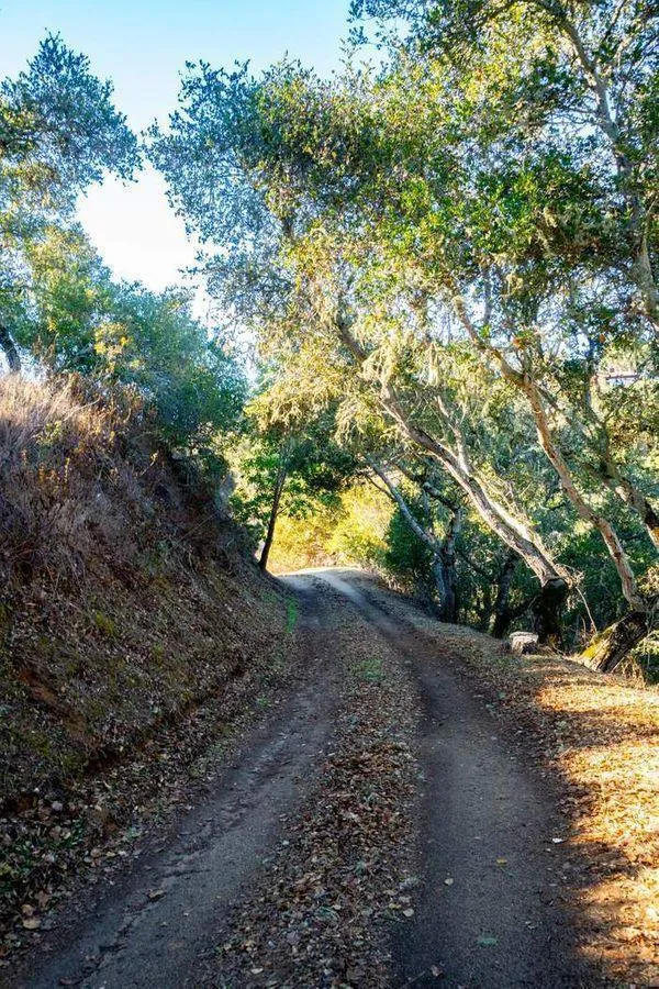 17114 Cachagua Road Carmel Valley, CA 93924