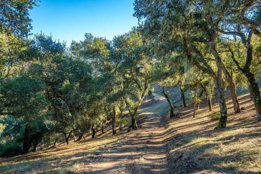 17114 Cachagua Road Carmel Valley, CA 93924