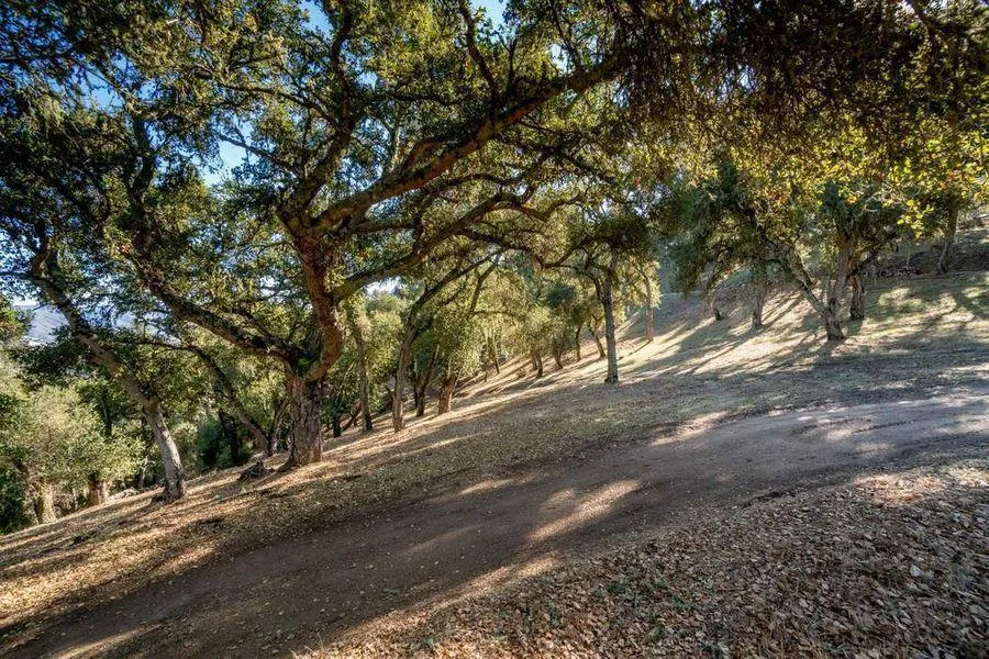 17114 Cachagua Road Carmel Valley, CA 93924