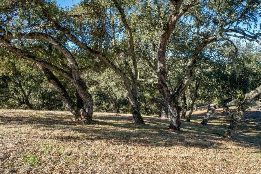 17114 Cachagua Road Carmel Valley, CA 93924