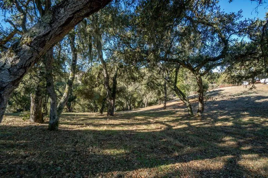 17114 Cachagua Road Carmel Valley, CA 93924