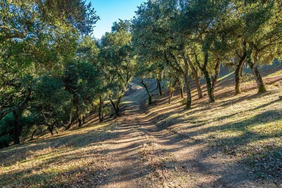 17114 Cachagua Road Carmel Valley, CA 93924