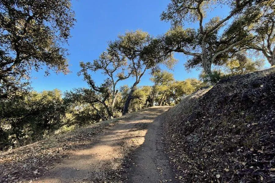 17114 Cachagua Road Carmel Valley, CA 93924
