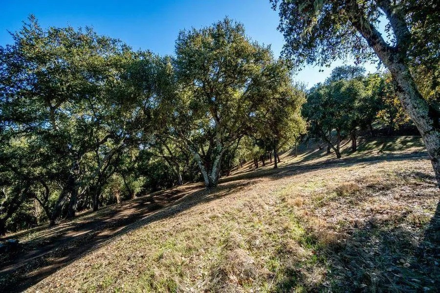 17114 Cachagua Road Carmel Valley, CA 93924