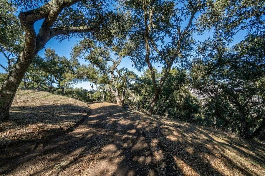 17114 Cachagua Road Carmel Valley, CA 93924