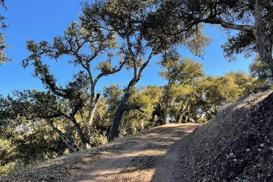 17114 Cachagua Road Carmel Valley, CA 93924
