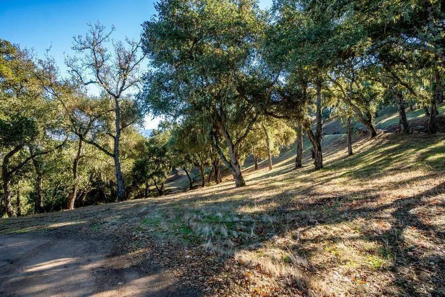17114 Cachagua Road Carmel Valley, CA 93924