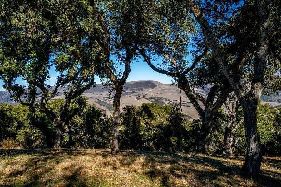 17114 Cachagua Road Carmel Valley, CA 93924