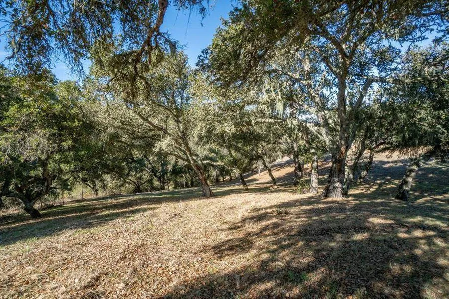 17114 Cachagua Road Carmel Valley, CA 93924