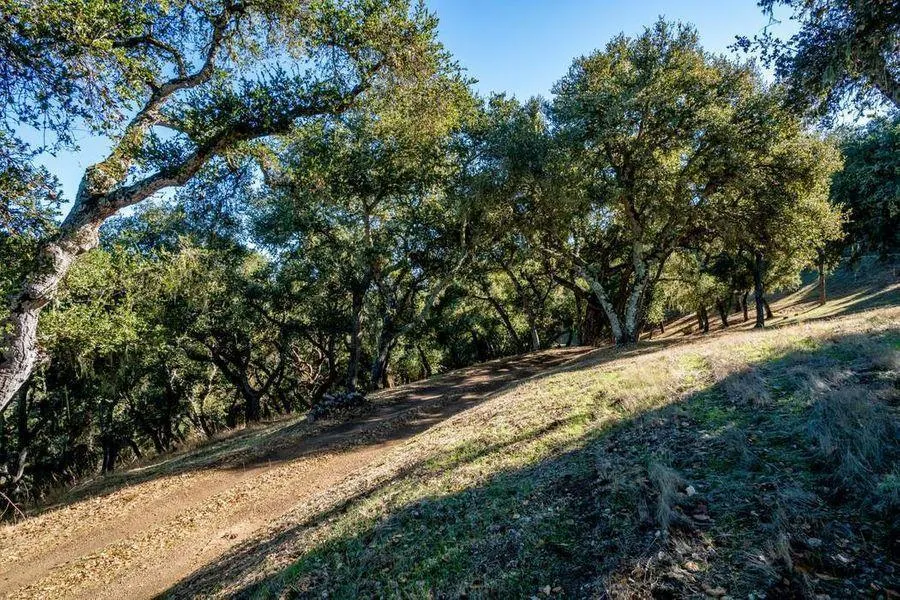 17114 Cachagua Road Carmel Valley, CA 93924