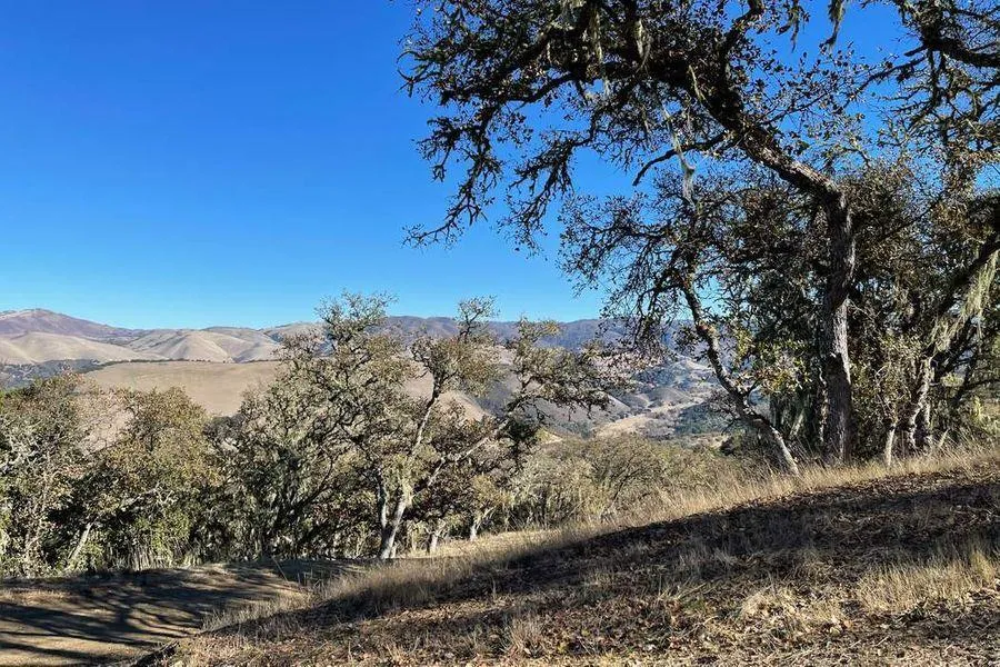 17114 Cachagua Road Carmel Valley, CA 93924