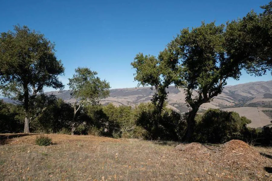 17114 Cachagua Road Carmel Valley, CA 93924