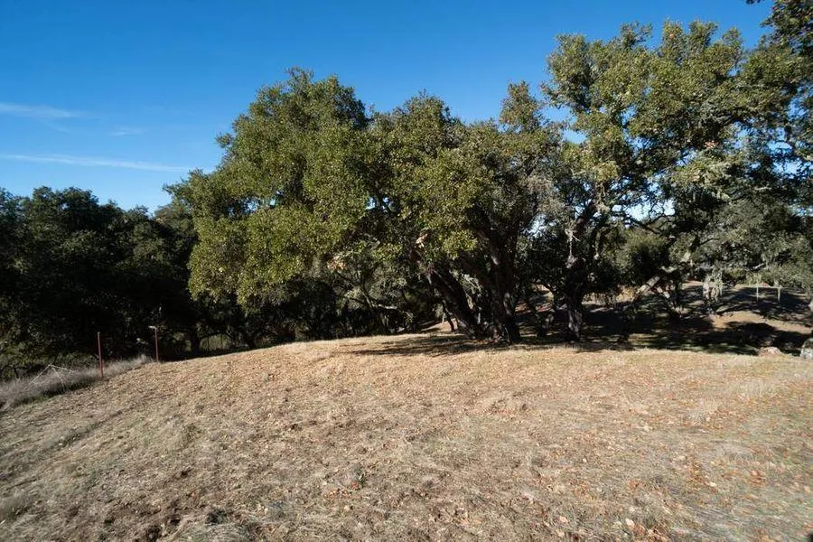 17114 Cachagua Road Carmel Valley, CA 93924