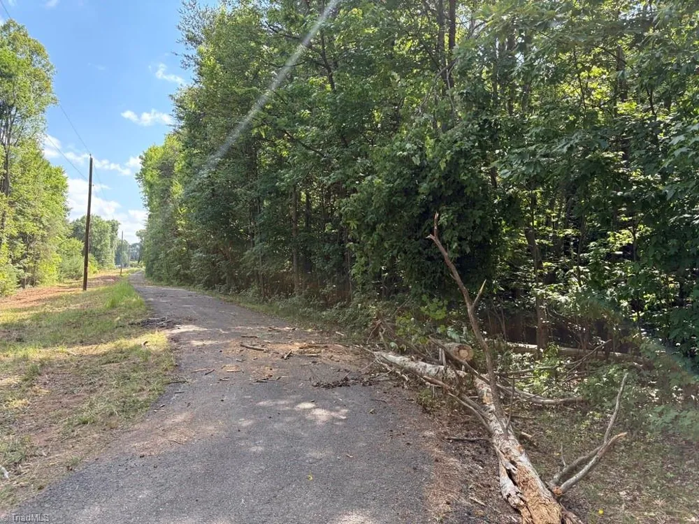 0 Cure Drive Madison, NC 27025