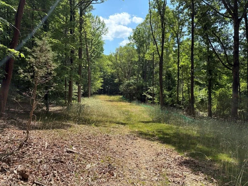0 Cure Drive Madison, NC 27025