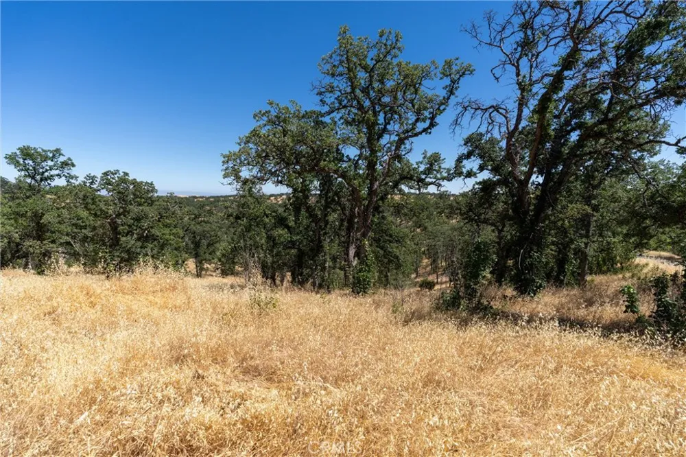 16398 Lariat Corning, CA 96021