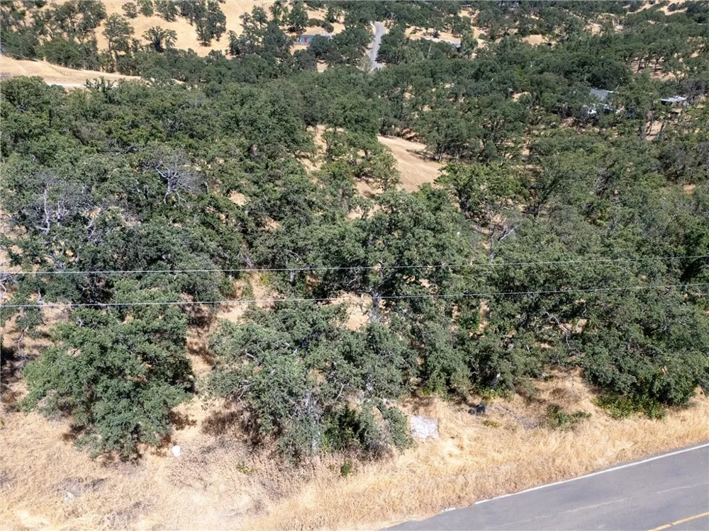 16398 Lariat Corning, CA 96021