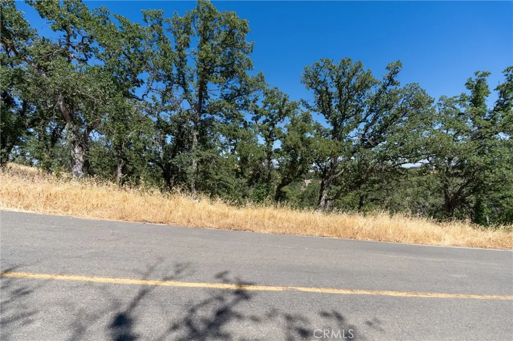 16398 Lariat Corning, CA 96021