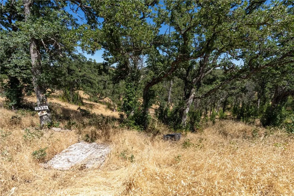 16398 Lariat Corning, CA 96021