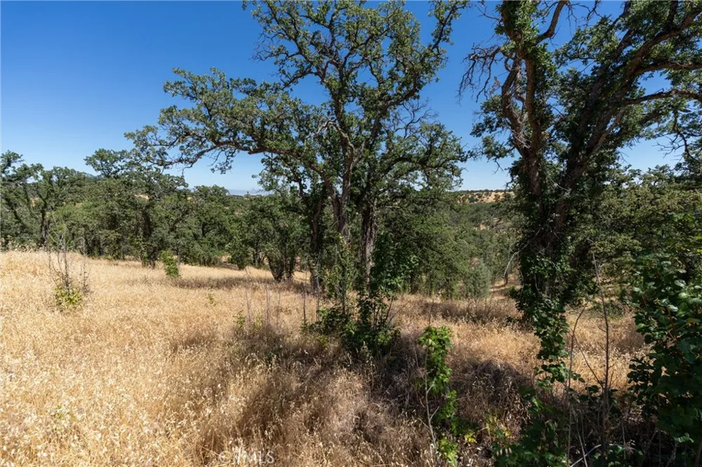 16398 Lariat Corning, CA 96021