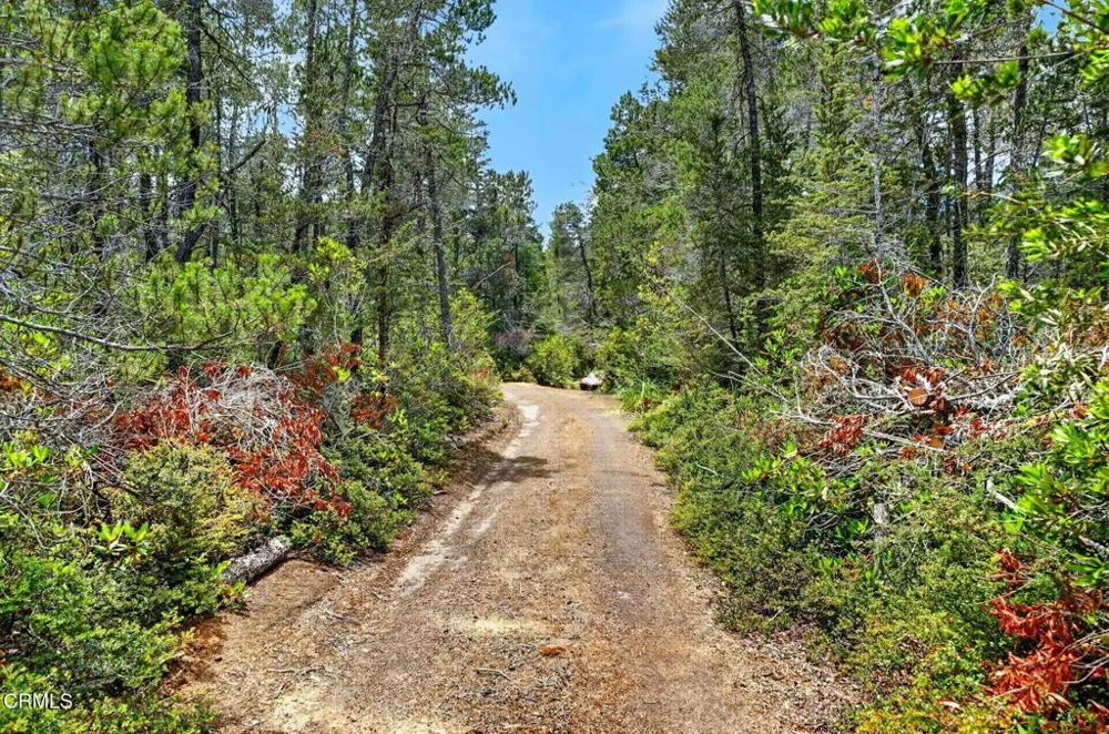 27421 Albion Ridge Road Albion, CA 95410