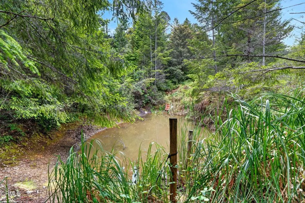 27421 Albion Ridge Road Albion, CA 95410