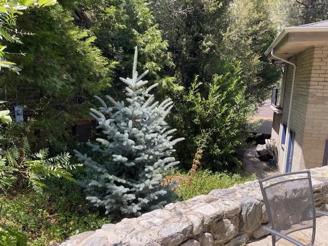39347 Prospect Forest Falls, CA 92339