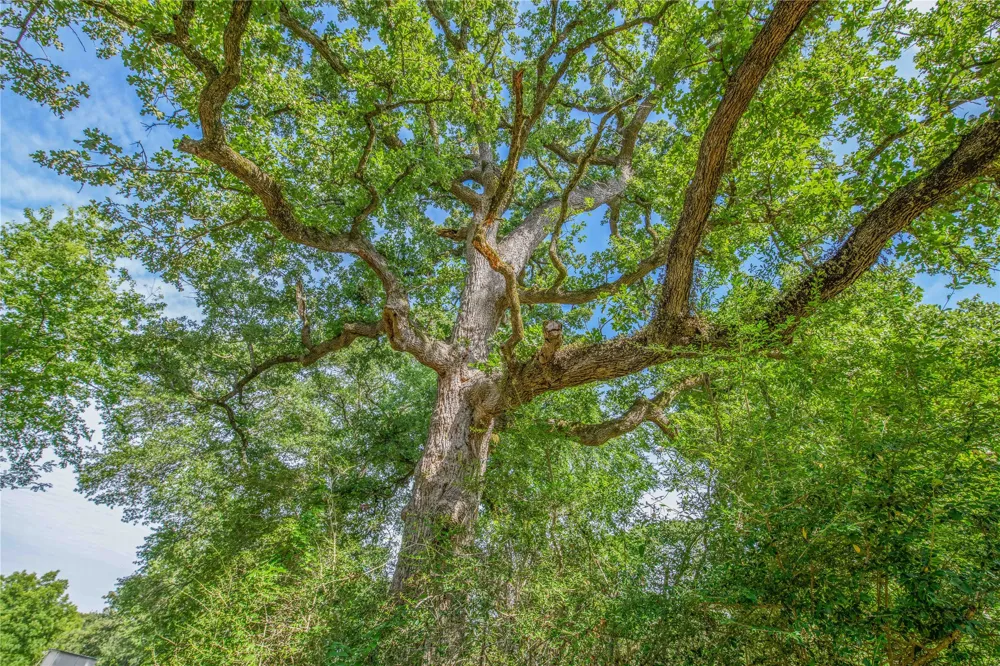 10250 Dogwood Trail College Station, TX 77845