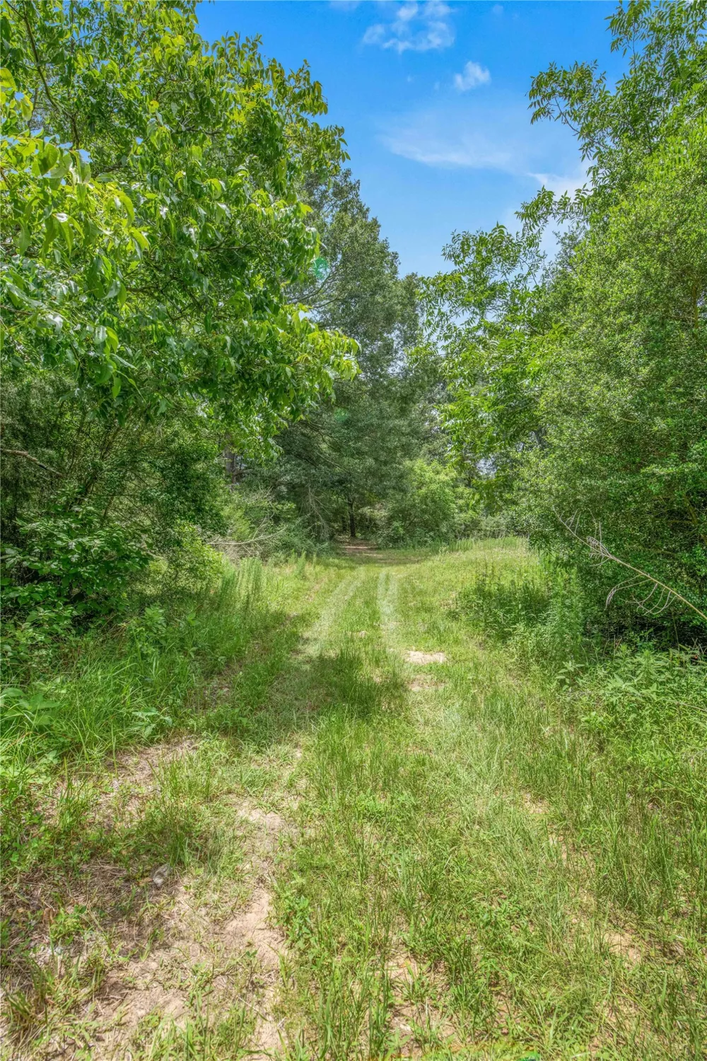 10250 Dogwood Trail College Station, TX 77845