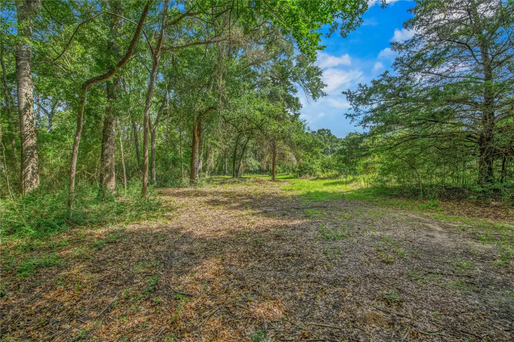10250 Dogwood Trail College Station, TX 77845