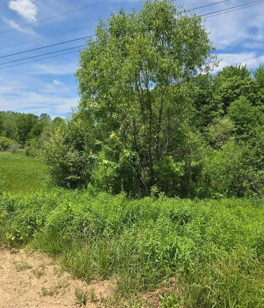 475 Tyler Road Wayland, MI 49348
