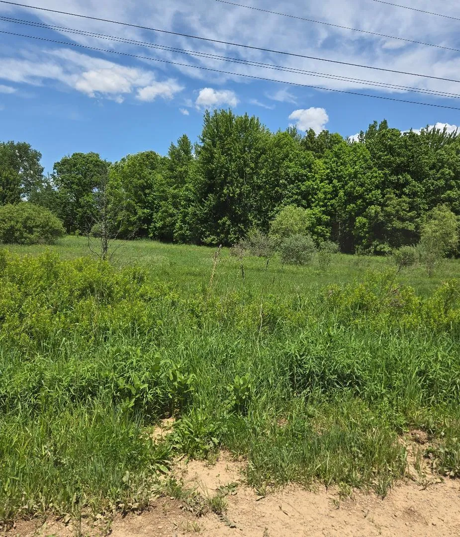 475 Tyler Road Wayland, MI 49348