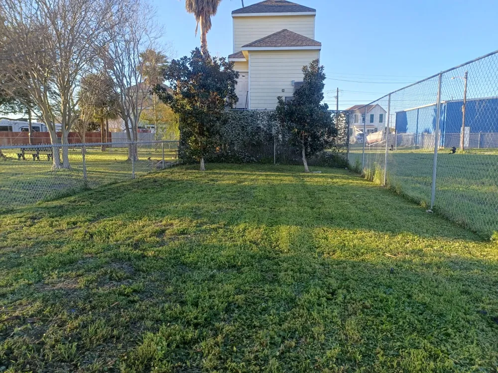 2714 Church Street Galveston, TX 77550