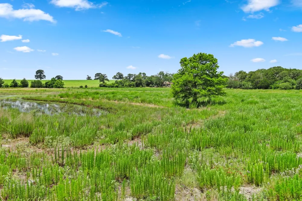 1910 E County Road 415 Lexington, TX 78947