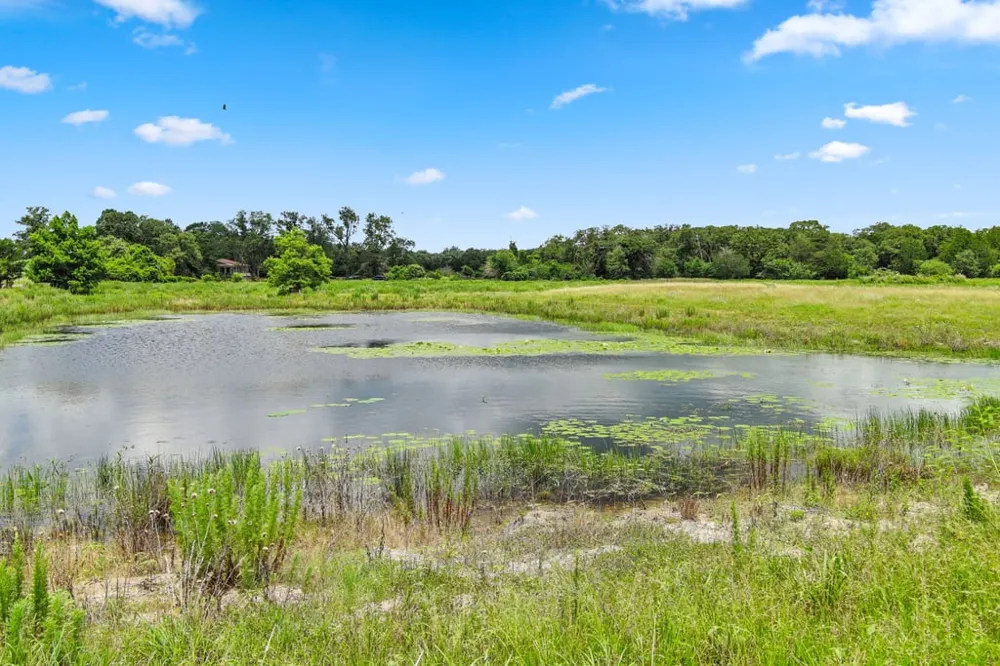 1910 E County Road 415 Lexington, TX 78947