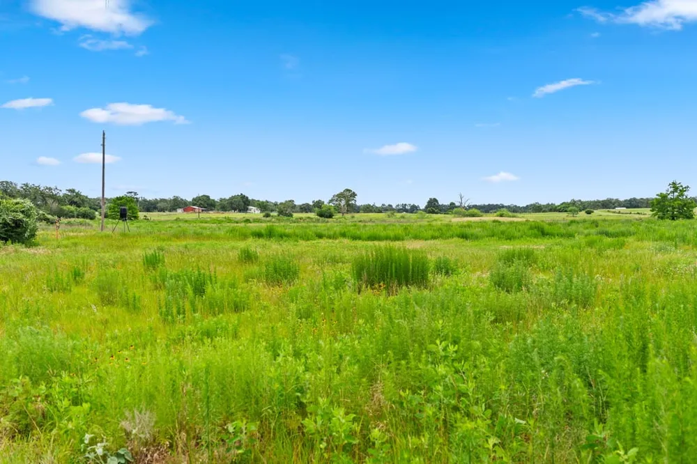 1910 E County Road 415 Lexington, TX 78947