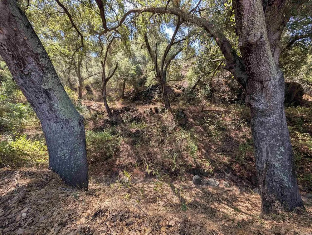 18868 Paradise Mountain Road Valley Center, CA 92082
