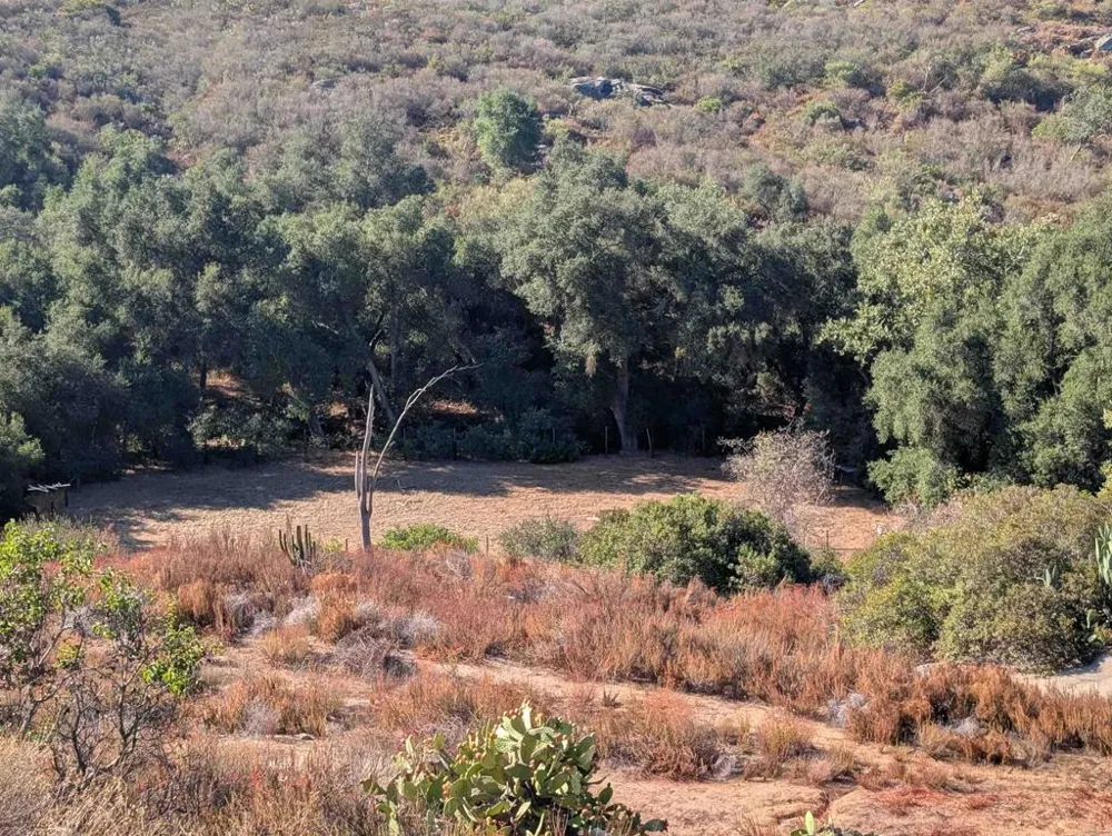 18868 Paradise Mountain Road Valley Center, CA 92082