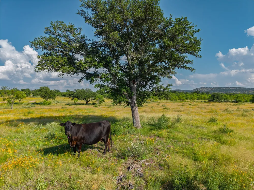 County Road 110 Road Llano, TX 78643