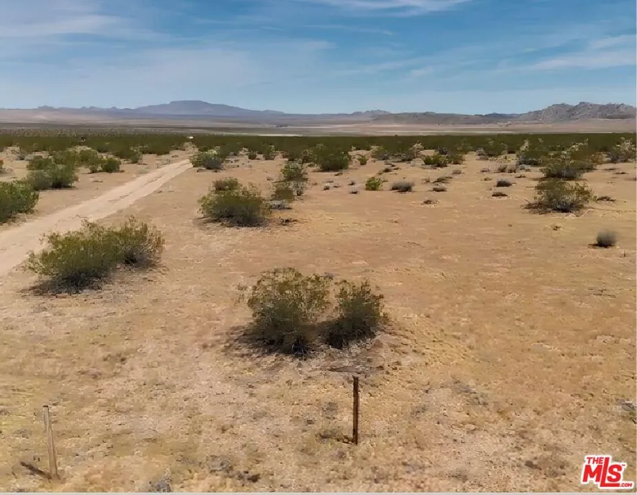 Datura Avenue Johnson Valley, CA 92285