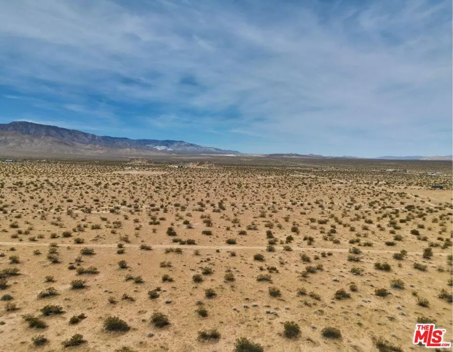 Datura Avenue Johnson Valley, CA 92285