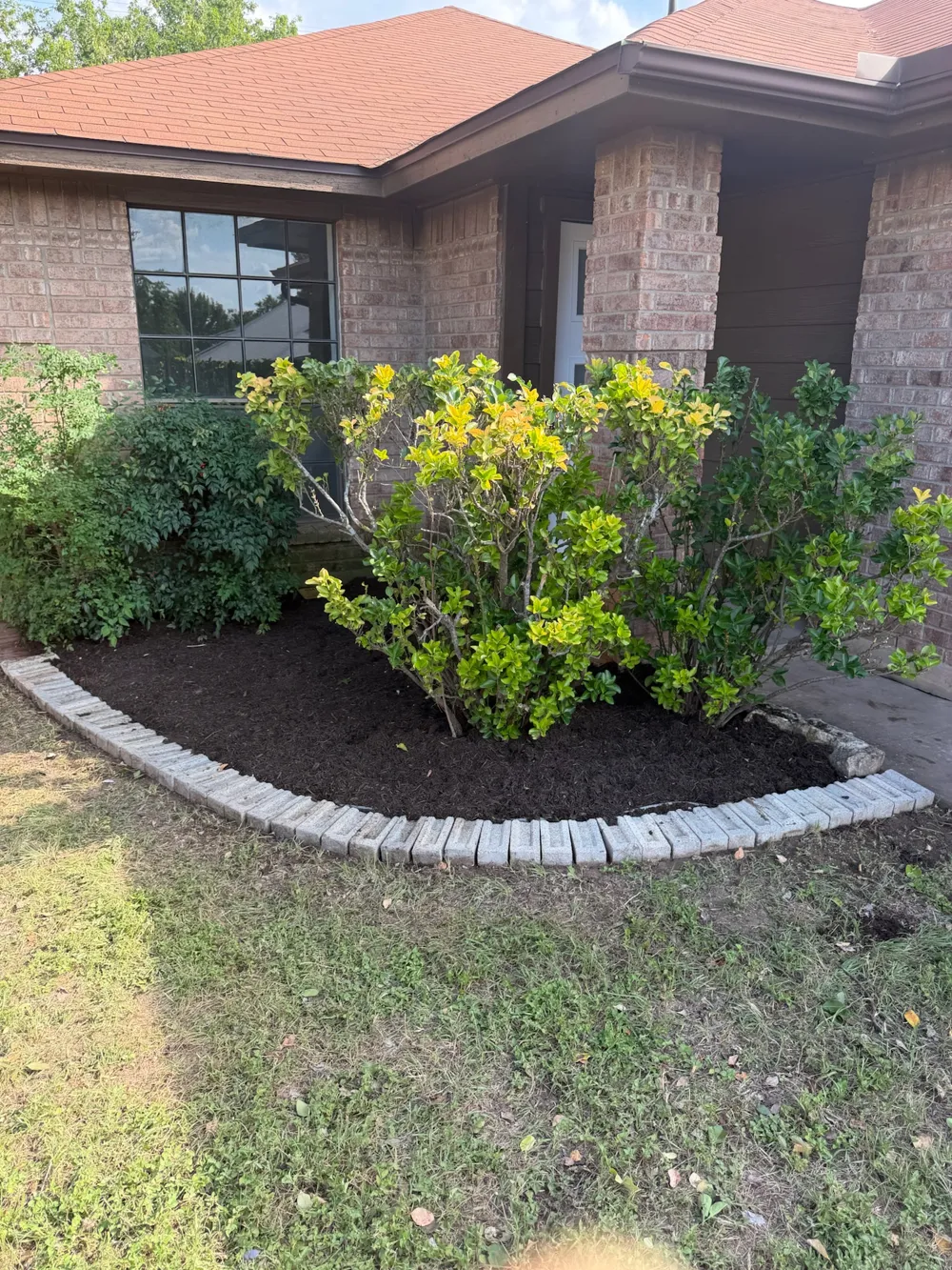 607 Saunders Drive Round Rock, TX 78664
