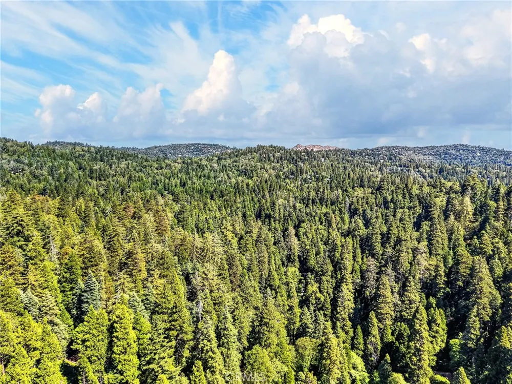 501 Dogwood Canyon Blue Jay, CA 92317