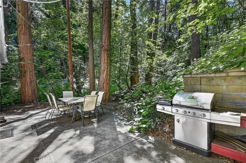501 Dogwood Canyon Blue Jay, CA 92317