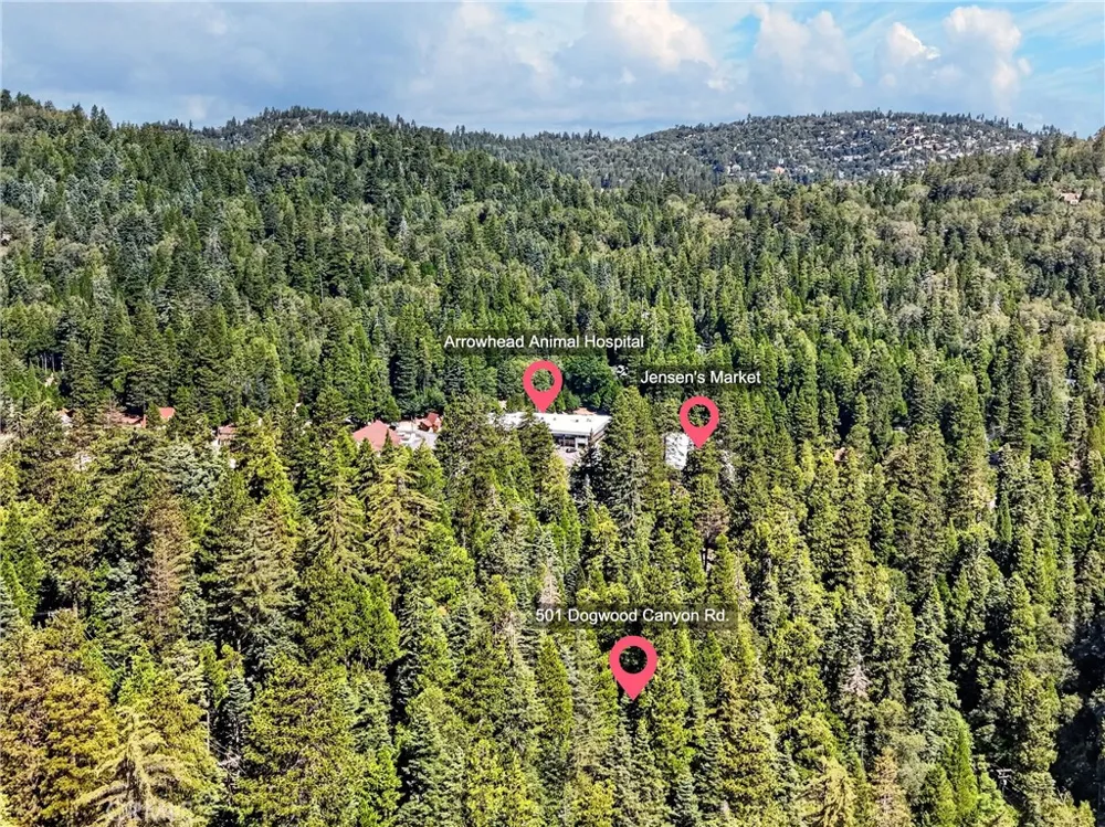 501 Dogwood Canyon Blue Jay, CA 92317