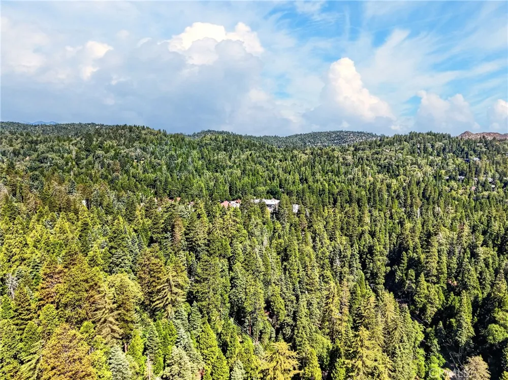 501 Dogwood Canyon Blue Jay, CA 92317