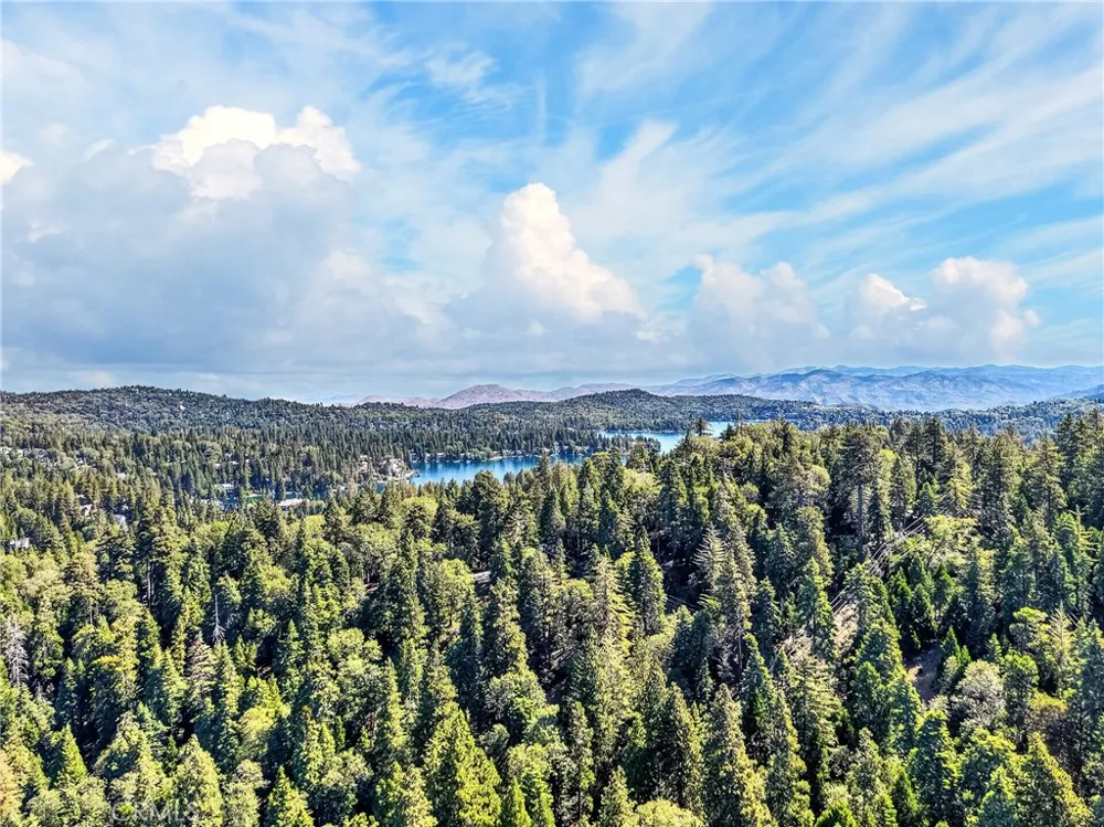 501 Dogwood Canyon Blue Jay, CA 92317